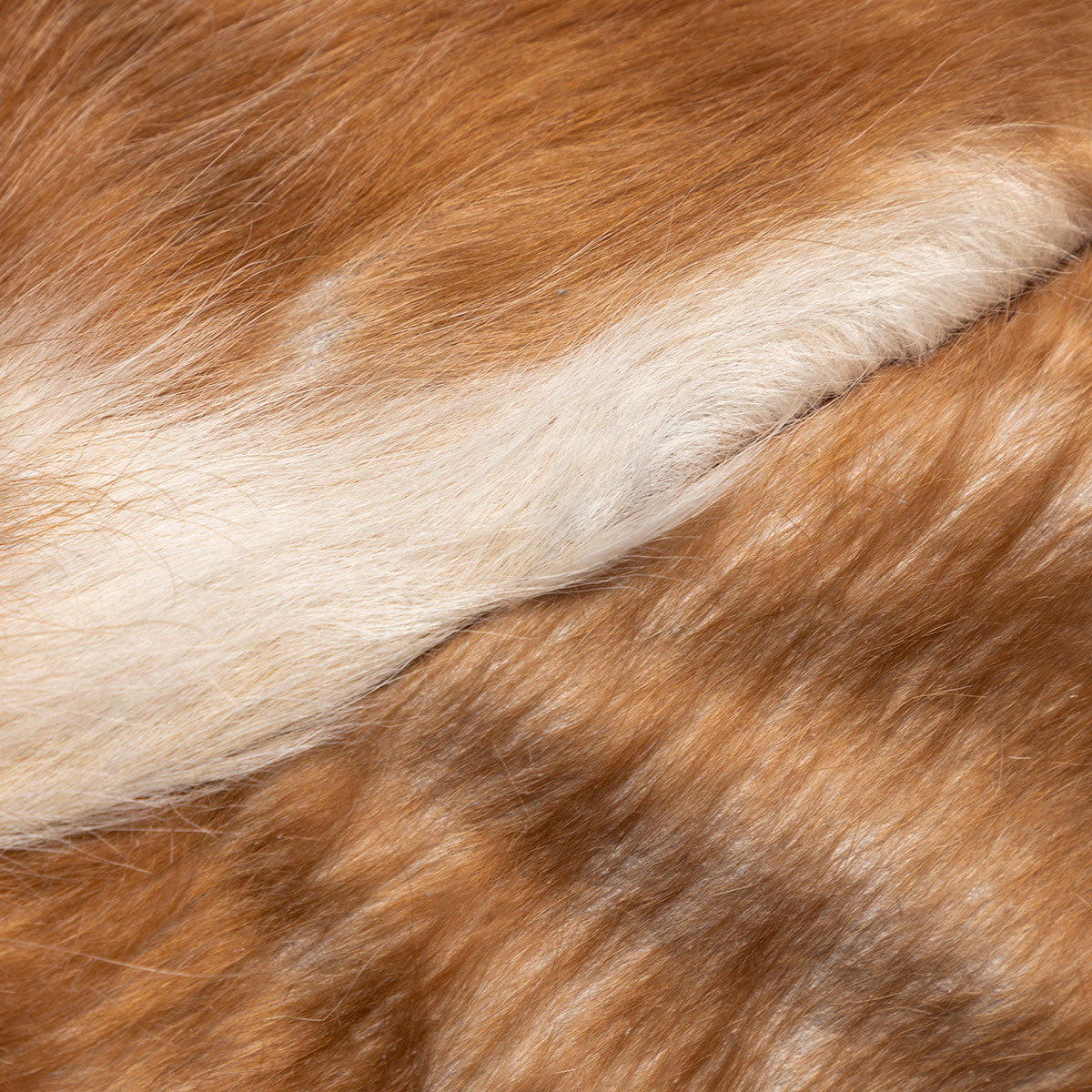 Pouf Poltrona Sacco Sfoderabile in Pelle Naturale Bovina