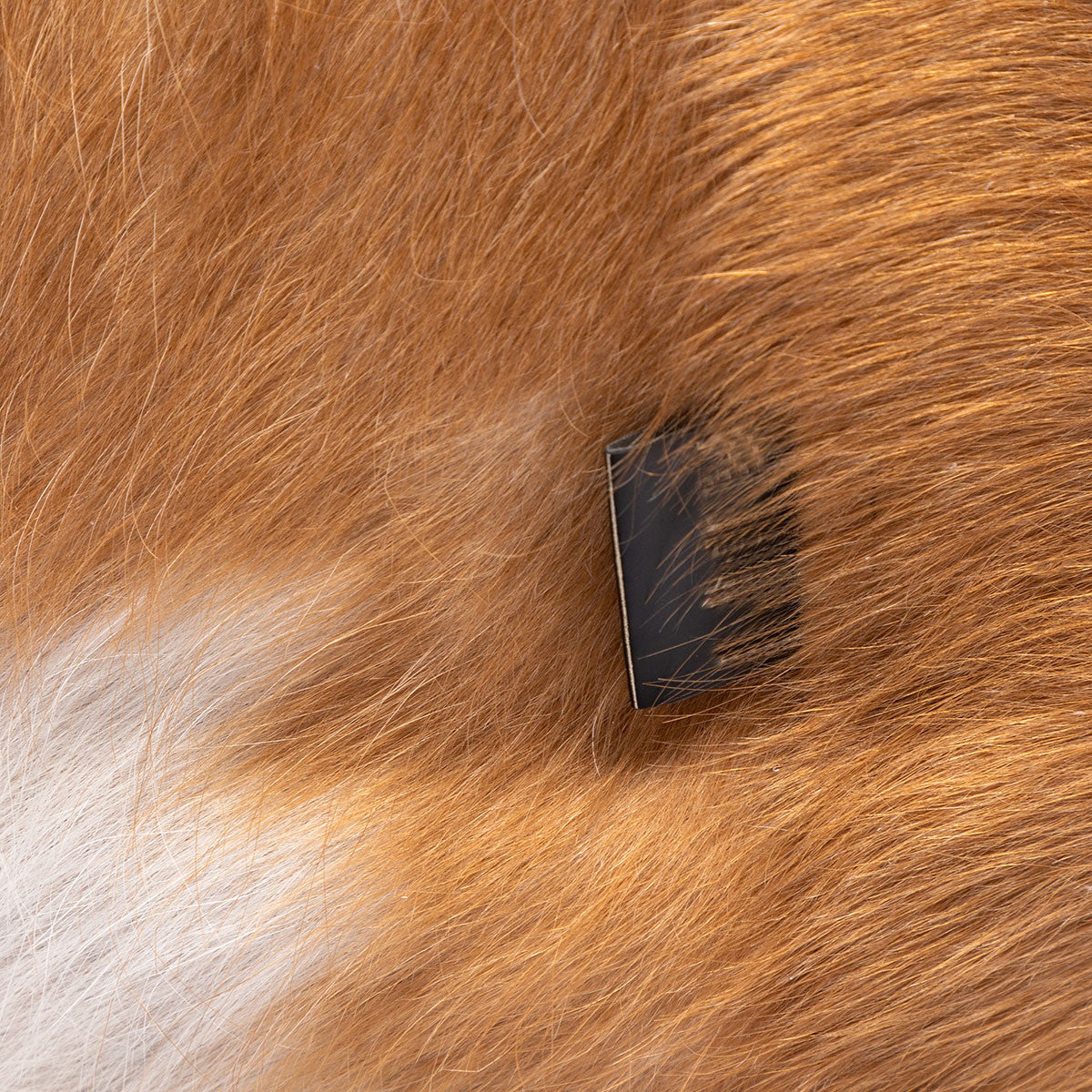 Pouf Poltrona Sacco Sfoderabile in Pelle Naturale Bovina