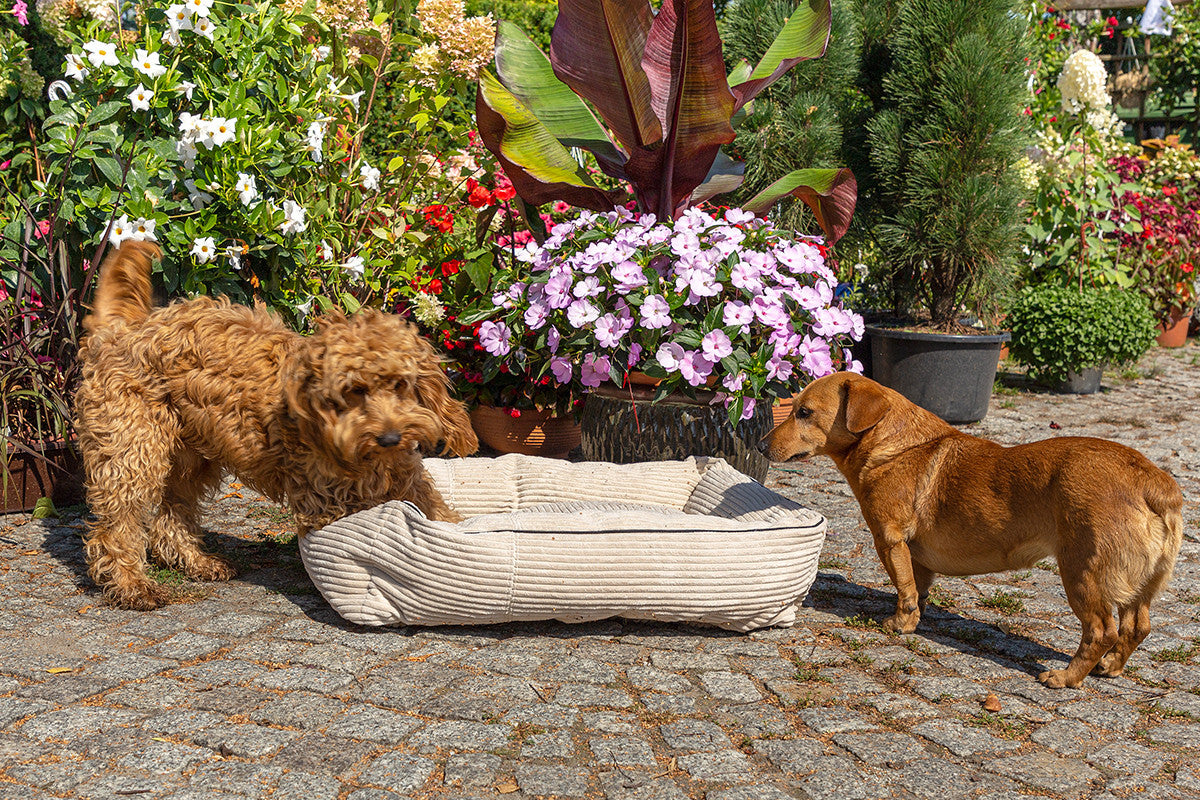 Pouf Cuccia Imbottita per Cane Gatto in Velluto