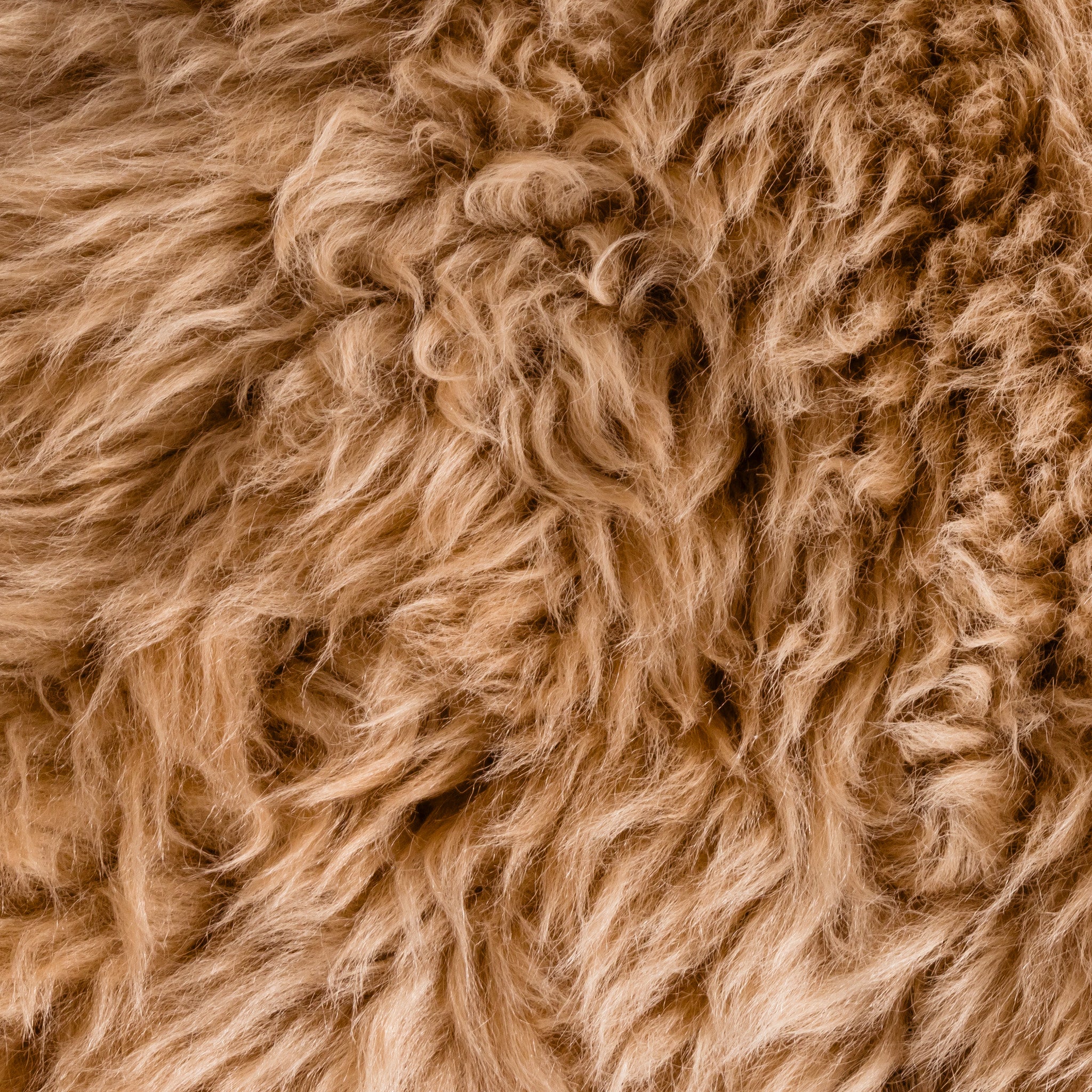 Poltrona Keiko M Premium in Vello Naturale