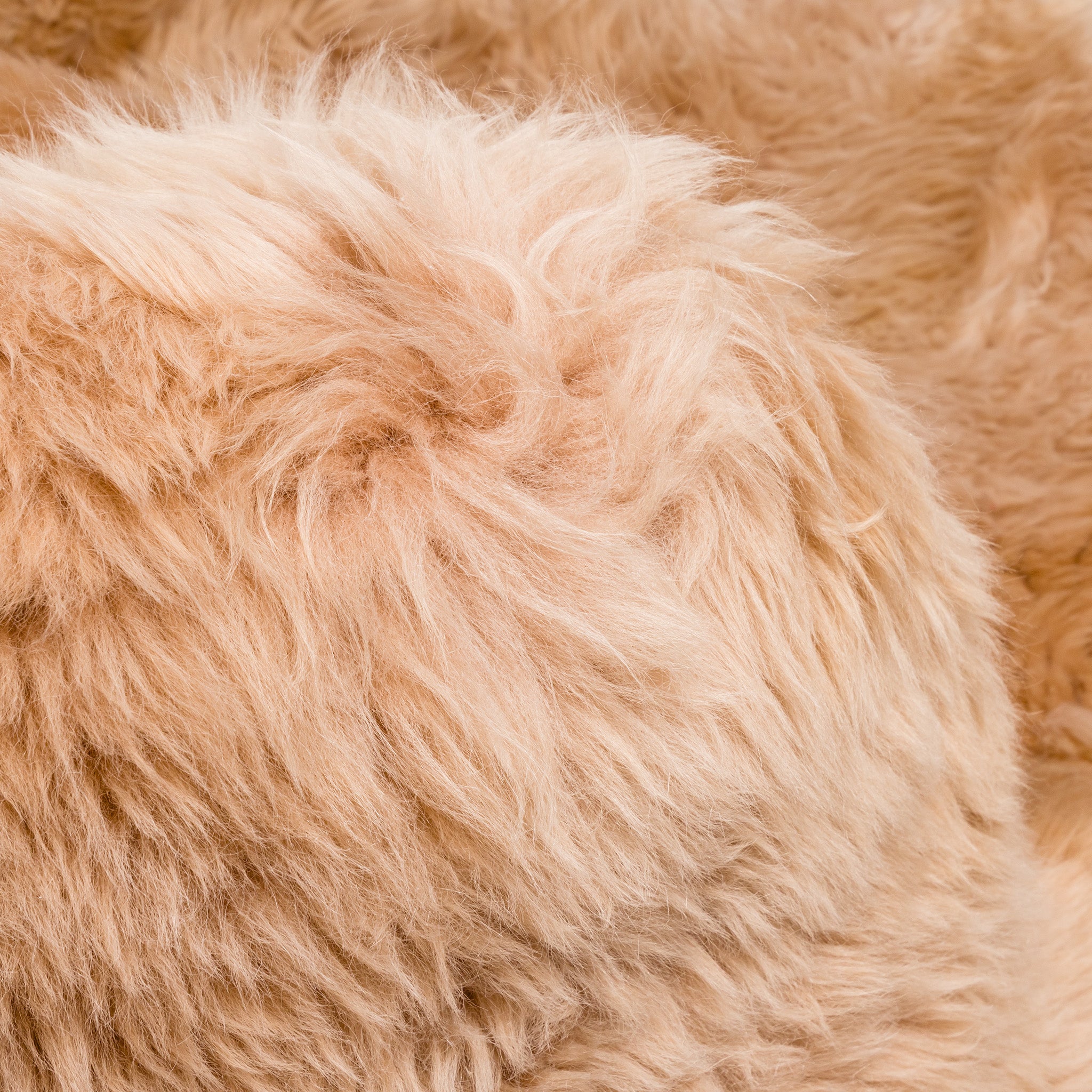 Poltrona Keiko M Premium in Vello Naturale